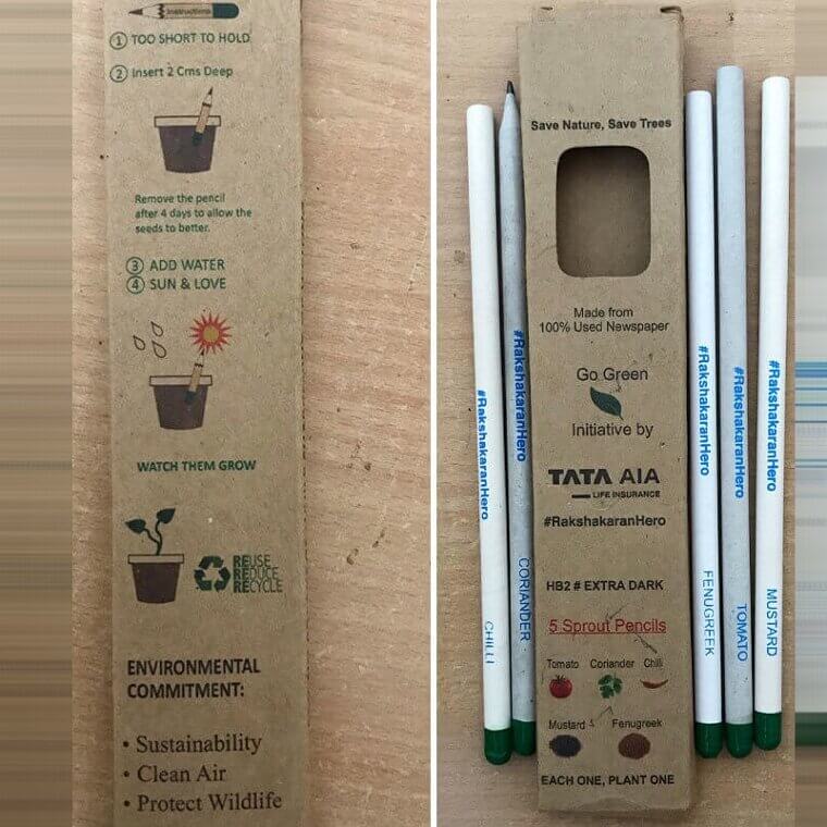Pencils You Can Plant in Soil to Turn Into an Edible Plant