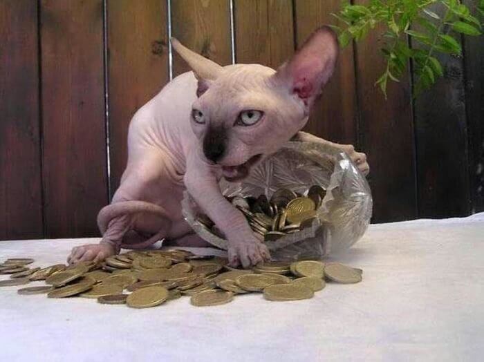 The Scariest Thief We've Ever Laid Eyes on