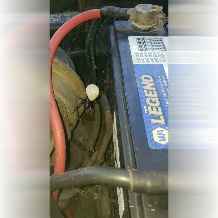 Time to Burn the Car