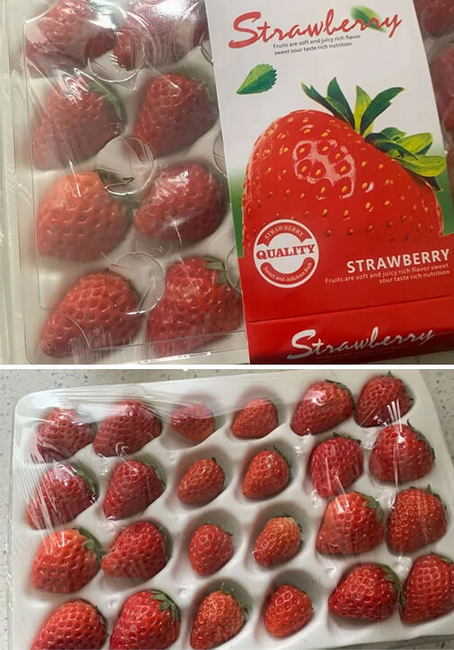 All the Small Ones Were Coincidentally Covered by the Package