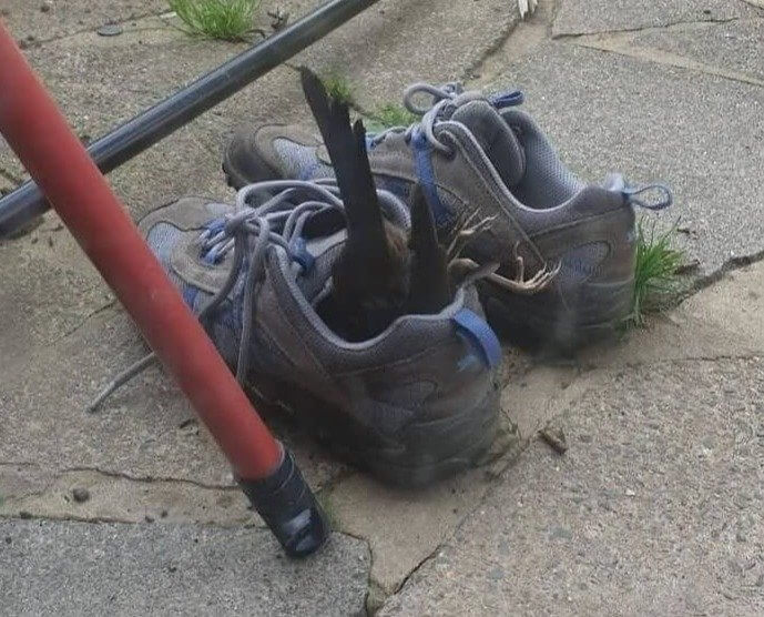 No, It's Not Alive