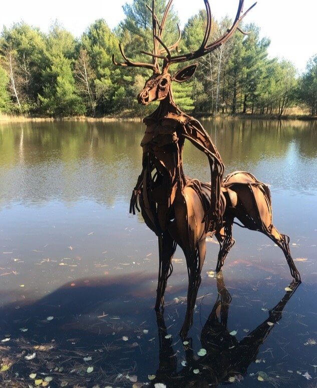 Imagine Seeing This Thing in the Woods at Night