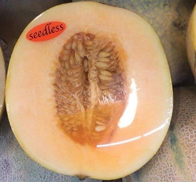 Know What's Better Than a "Seedless" Melon? One Without Seeds