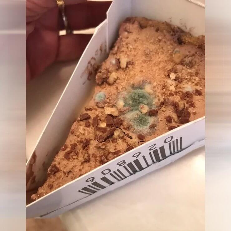 A Slice of Apple Pie Covered in Mold