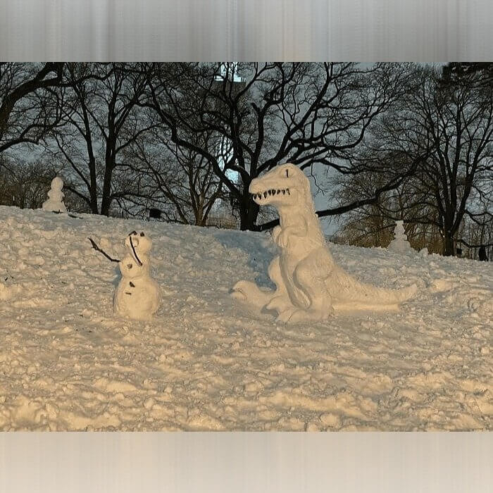 Jurassic Snow Park