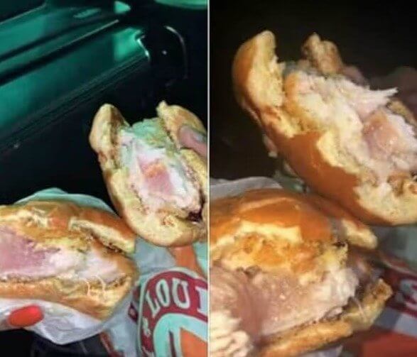 Raw Chicken Sandwich - Not Edible at All
