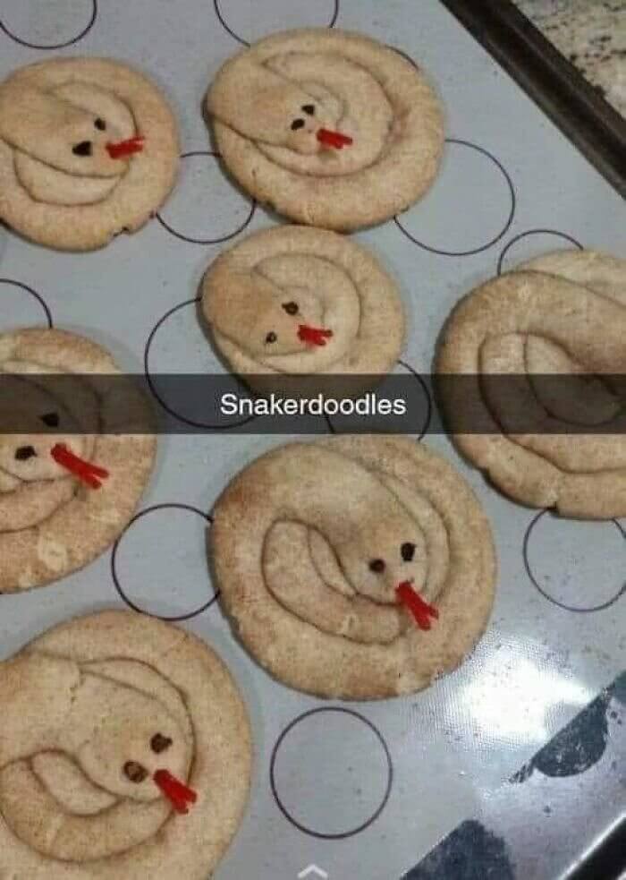 Snakes or Cookies?