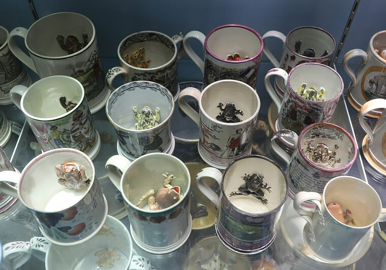 Some of These Frogs Can Even Spit Your Coffee Onto Your Face When You Tilt the Mug