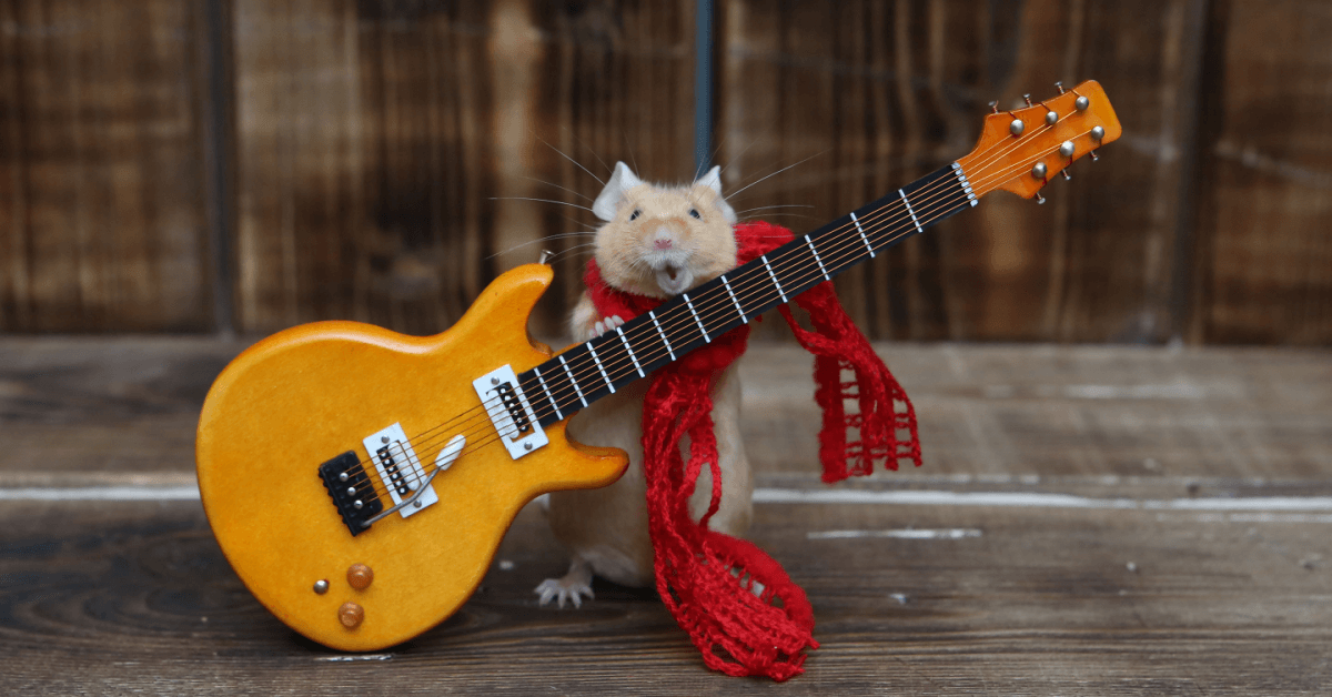 Funny Photos That Leave Us Scratching Our Heads