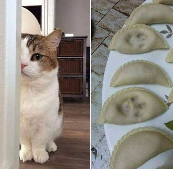 Nothing to See Here...