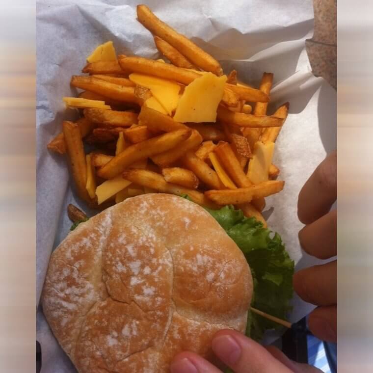 Cheese Fries That Came With Slices of Cut up Cheese on Top