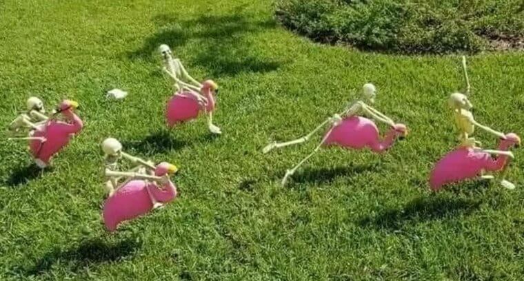 When You Can't Decide Between Flamingos and Skeletons for the Lawn