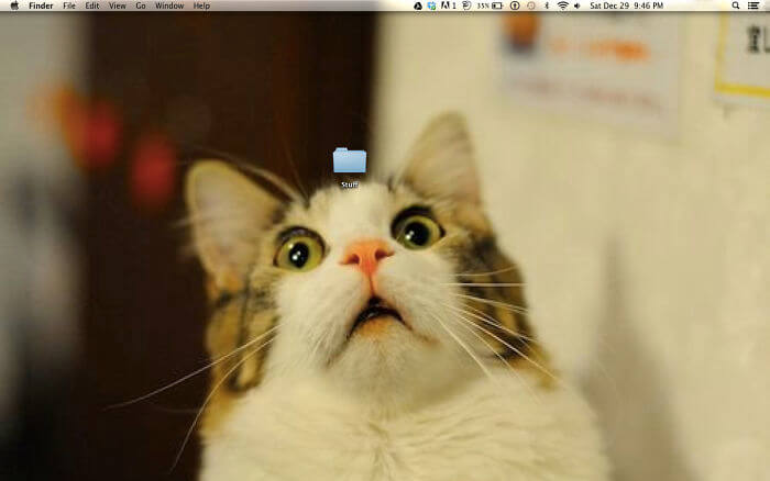 What's In The Stuff Folder